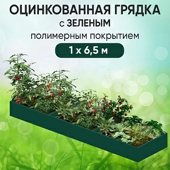 Грядка зеленая (1 х 6,5)